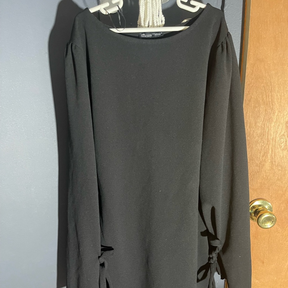 Black Zara Form Fitting Dress